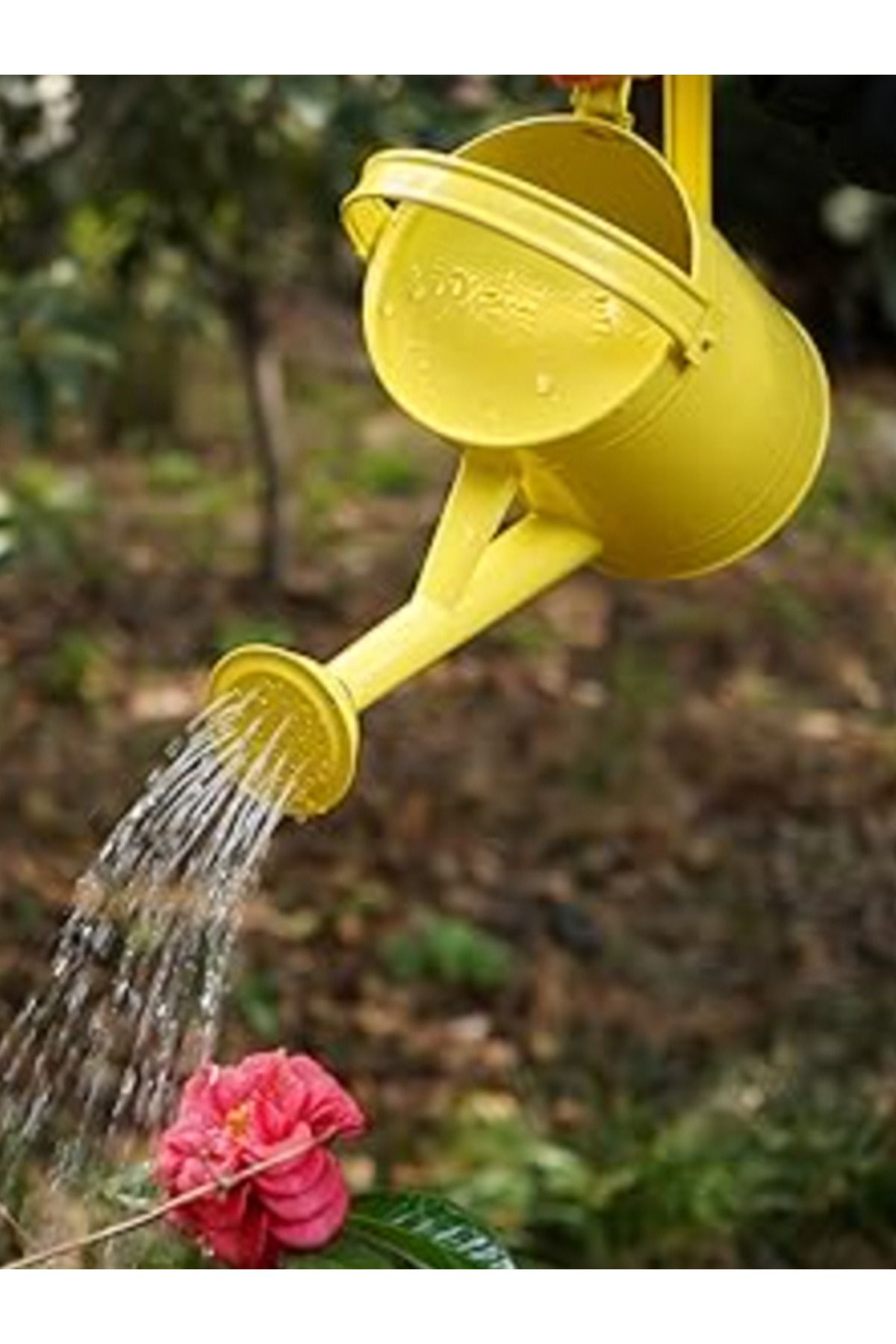Fritilya 5 Litre Metal Sulama Kabı, Galvaniz Bitki Sulama Kabı Metal Orta Boy Sulak Sarı