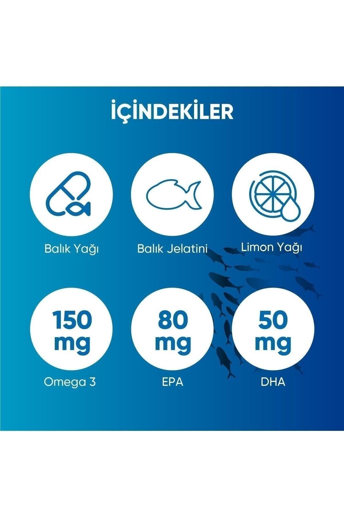 Omega 3 Balık Yağı Yüksek EPA & DHA 500 mg 60 Kapsül