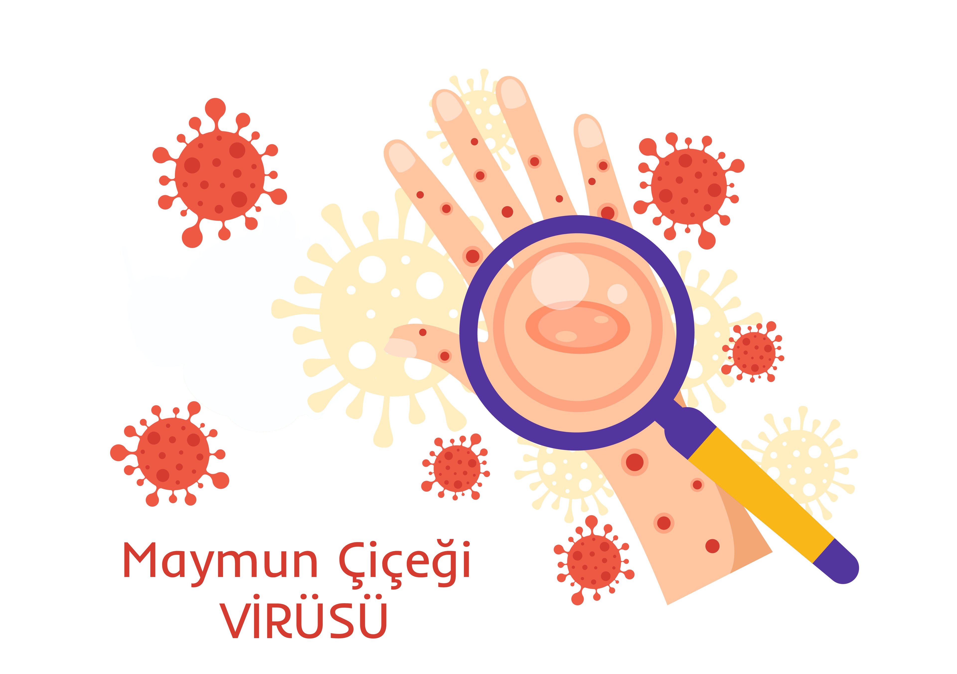 Maymun Çiçeği Virüsü: Bilinmesi Gerekenler