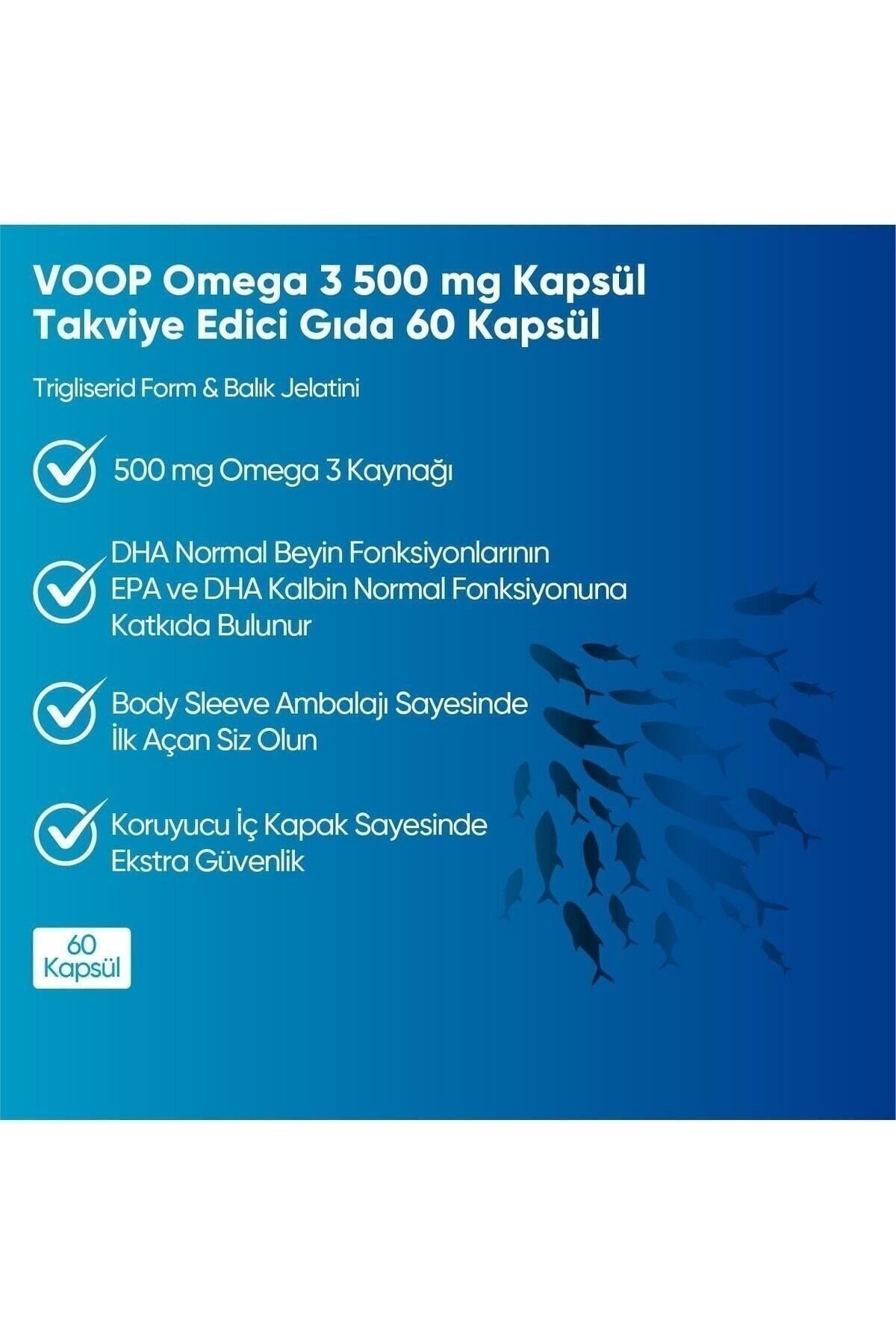 Omega 3 Balık Yağı Yüksek EPA & DHA 500 mg 60 Kapsül