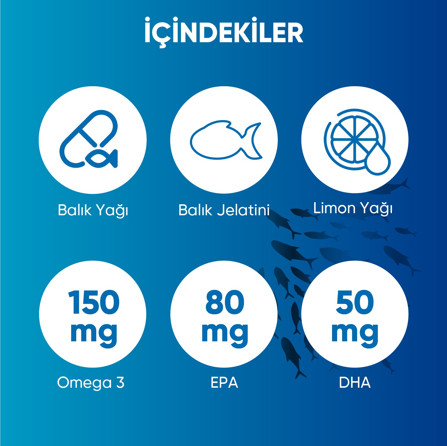 Omega 3 Balık Yağı Yüksek EPA & DHA | Beyin Desteği - 500 mg 60 Kapsül