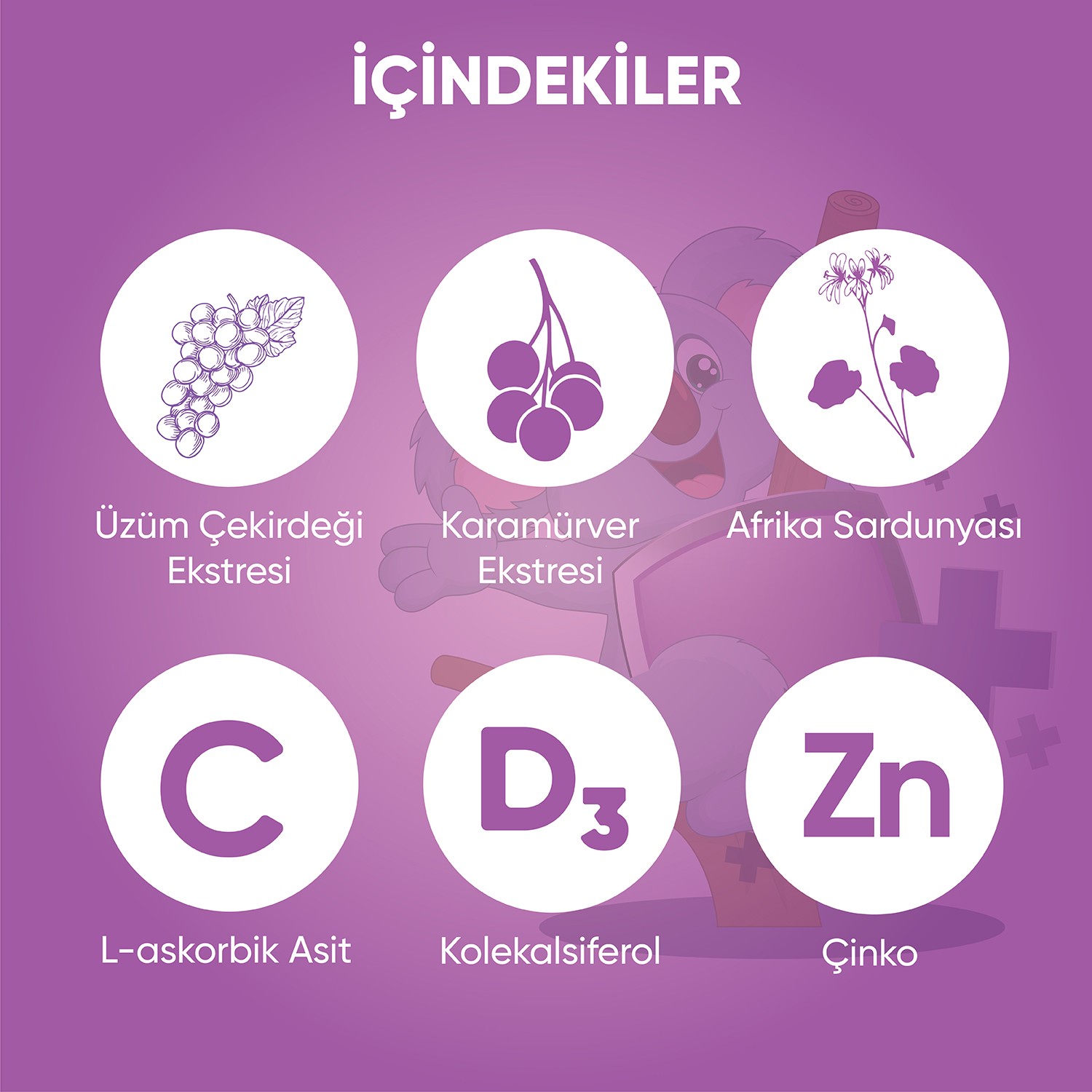 Beta Glukan 1,3/1,6 Kara Mürver, Vitamin C, Çinko Şurup 150 ml