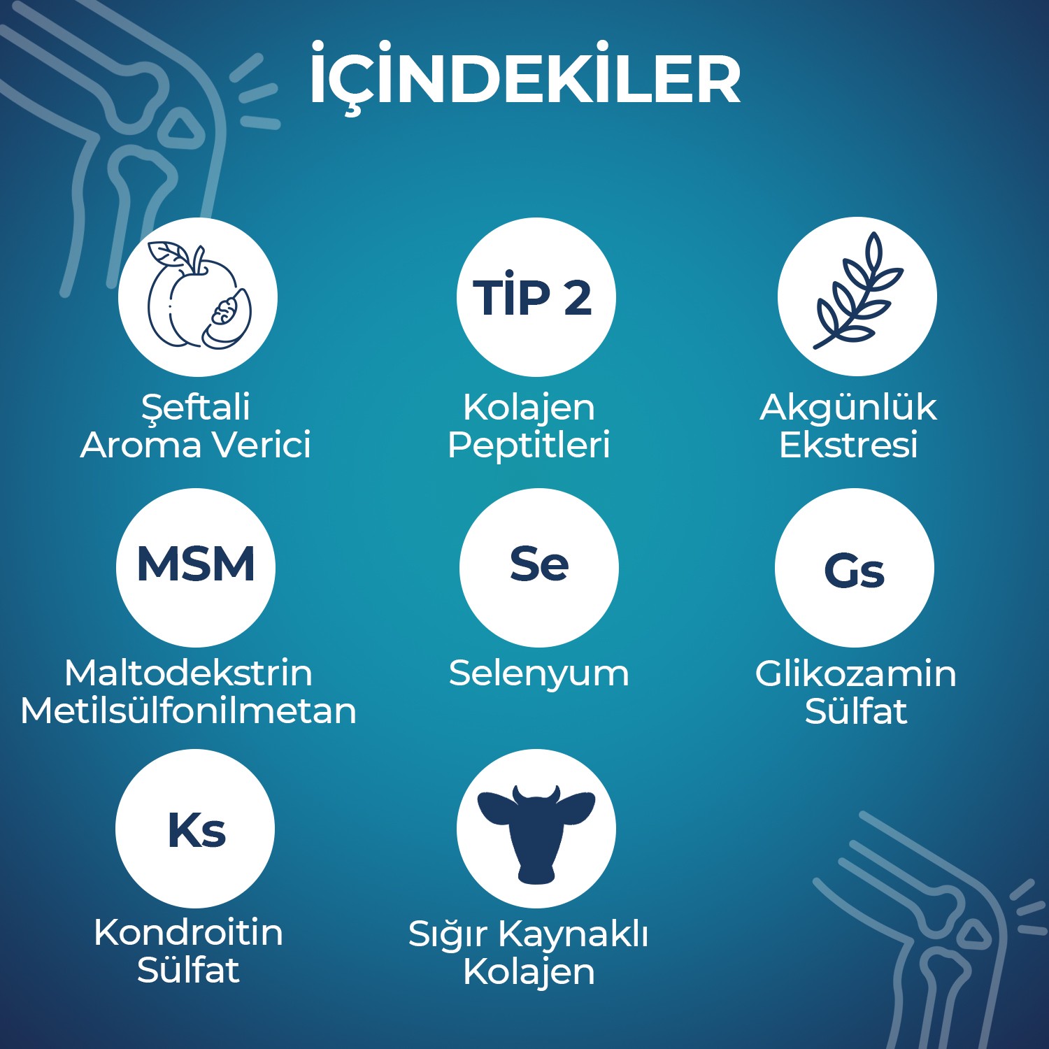 Kompleks Formülü Tip 2 Collagen Glukozamin - 7 Toz Saşe