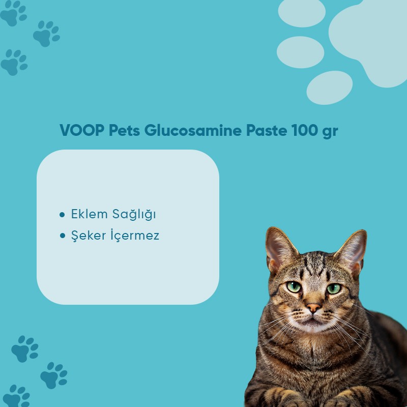 Pet Glucosamine Paste Kedi Eklem Ve Kas Desteği | 100 gr