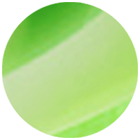 657