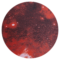 Starborne 610