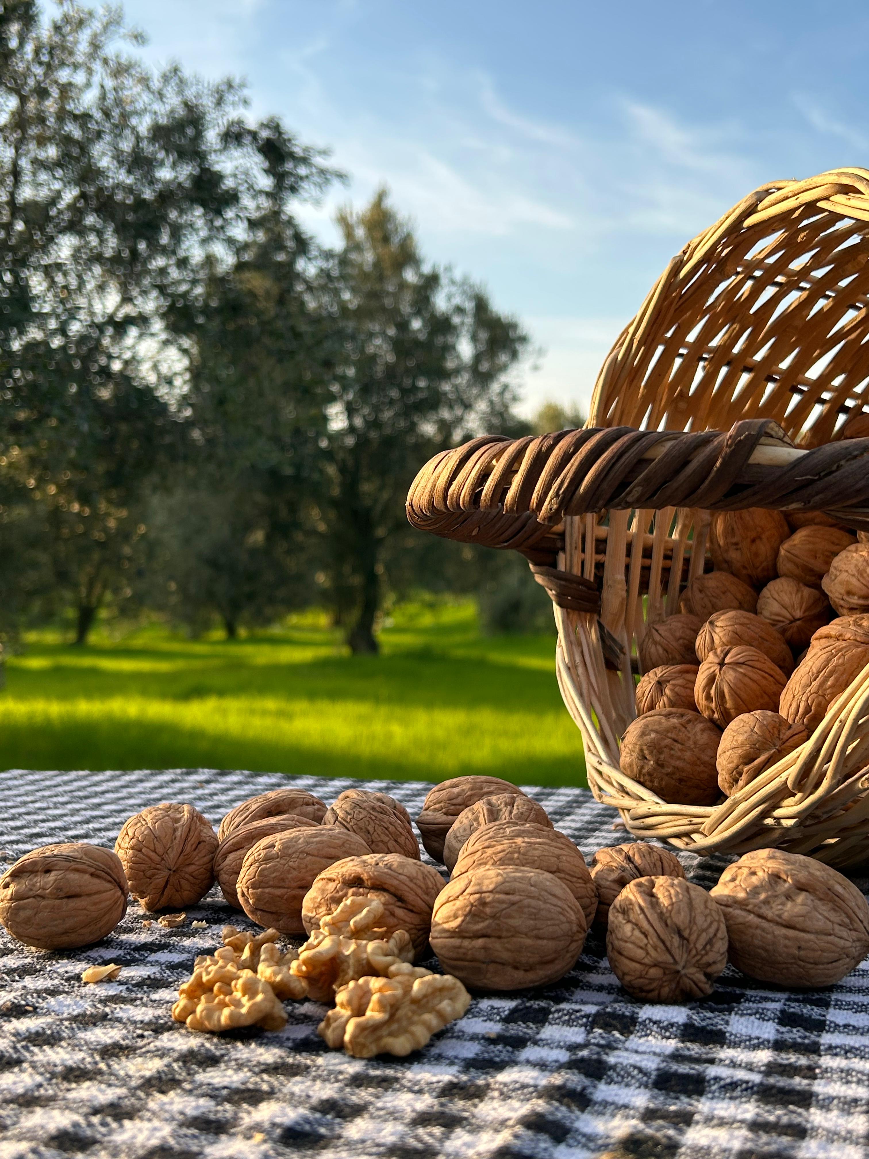 CHANDLER CEVİZ (İNCE KABUK) 1KG