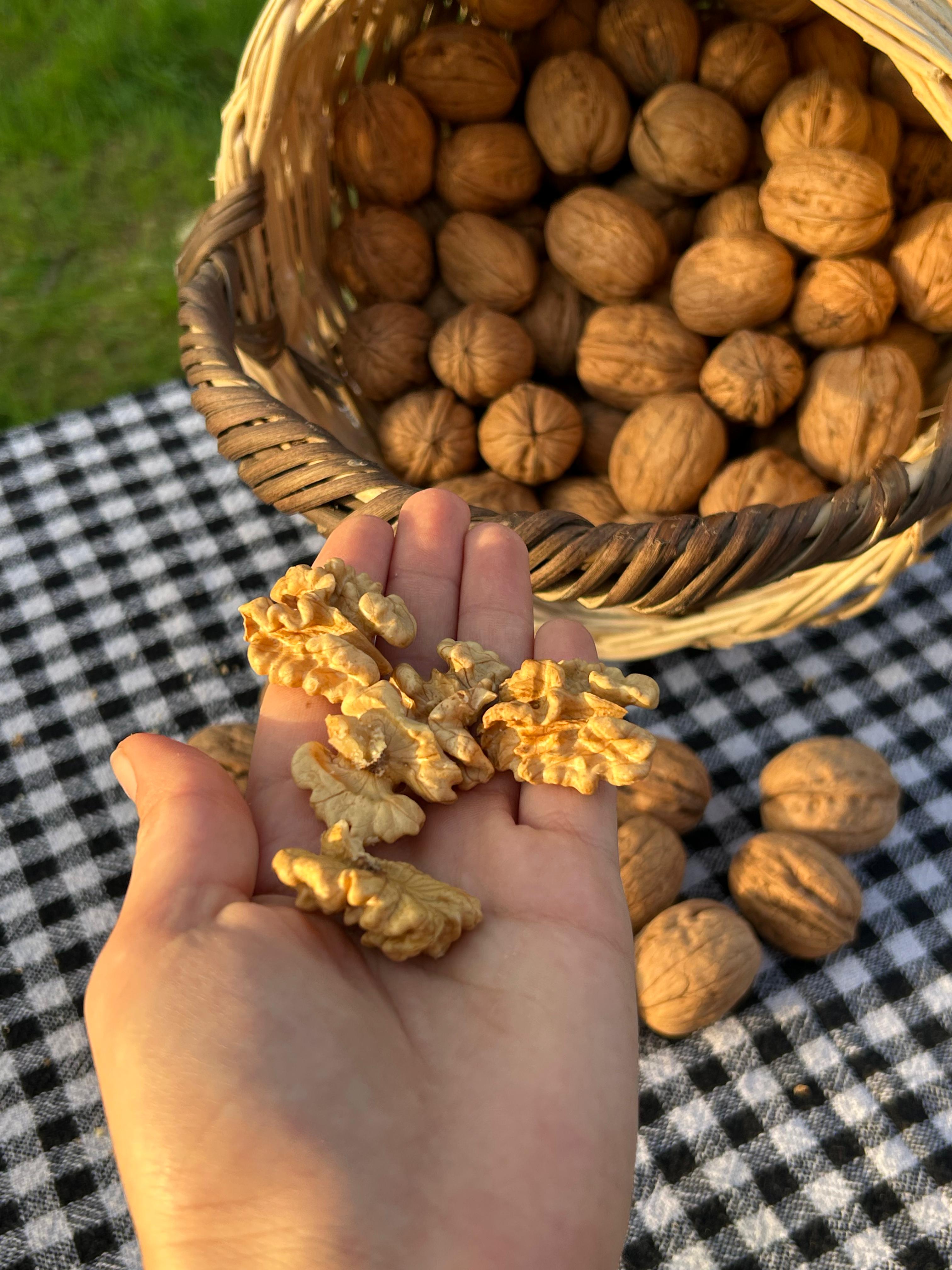 CHANDLER CEVİZ (İNCE KABUK) 1KG