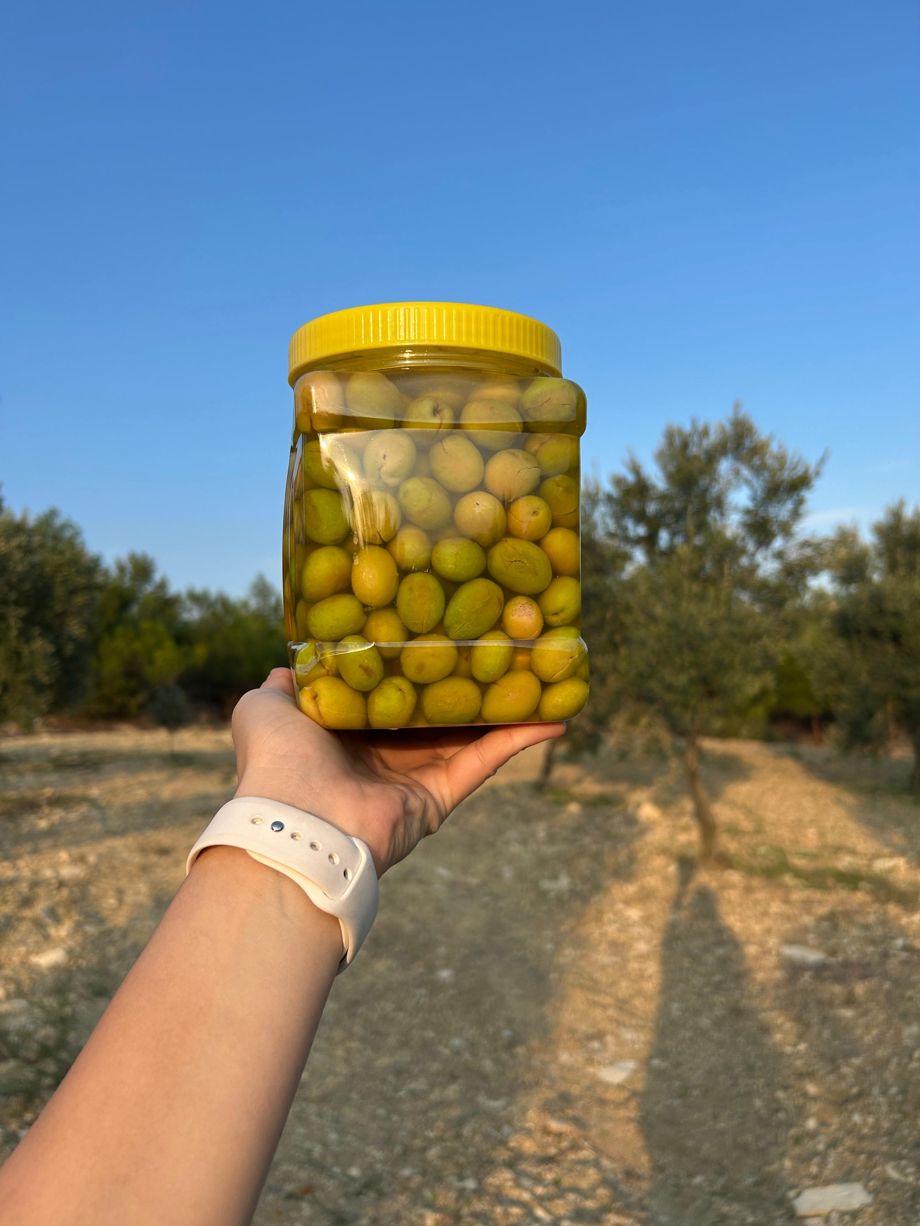 Domat Cinsi Kırmalık Zeytin 1KG