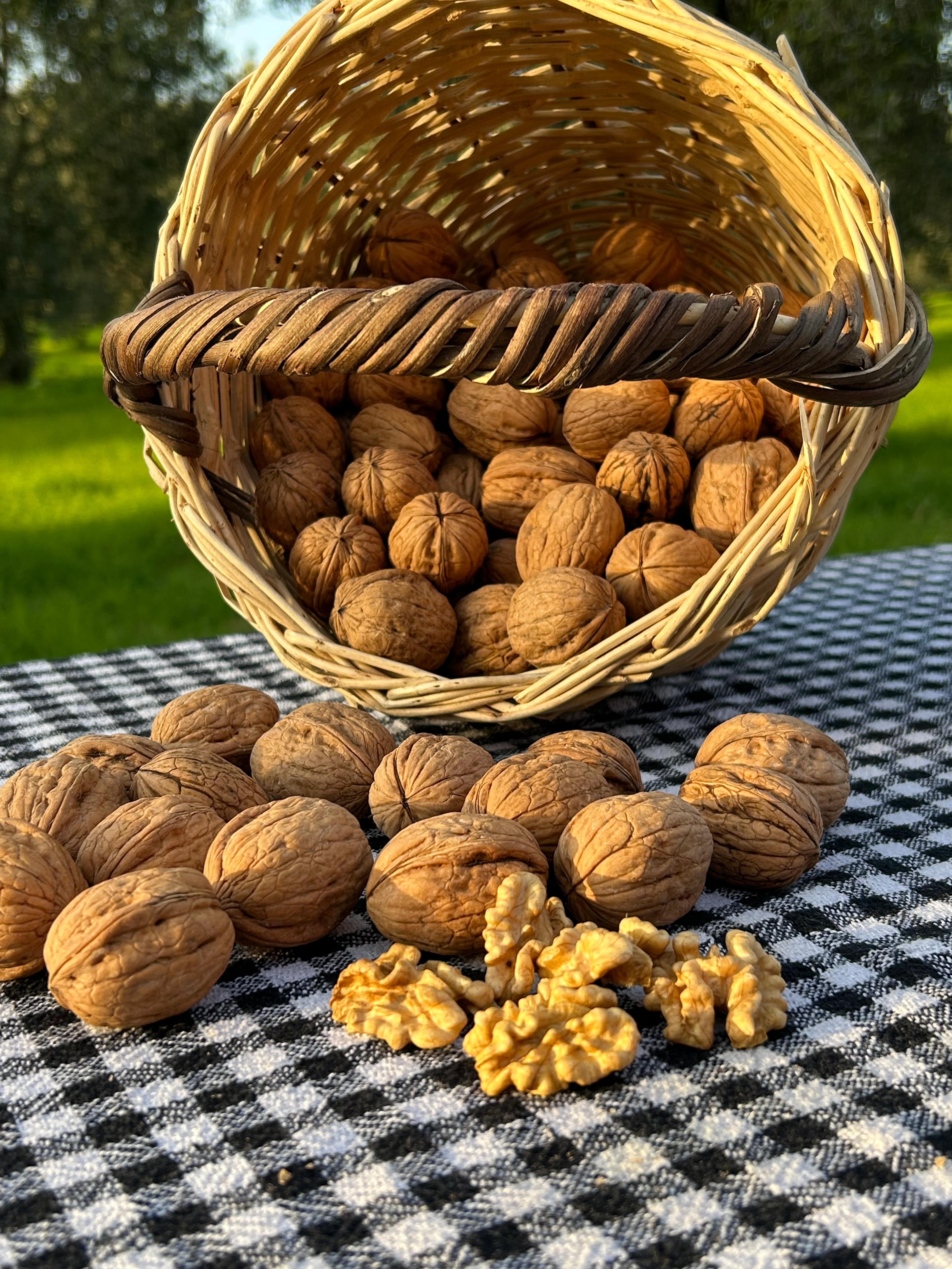 CHANDLER CEVİZ (İNCE KABUK) 1KG