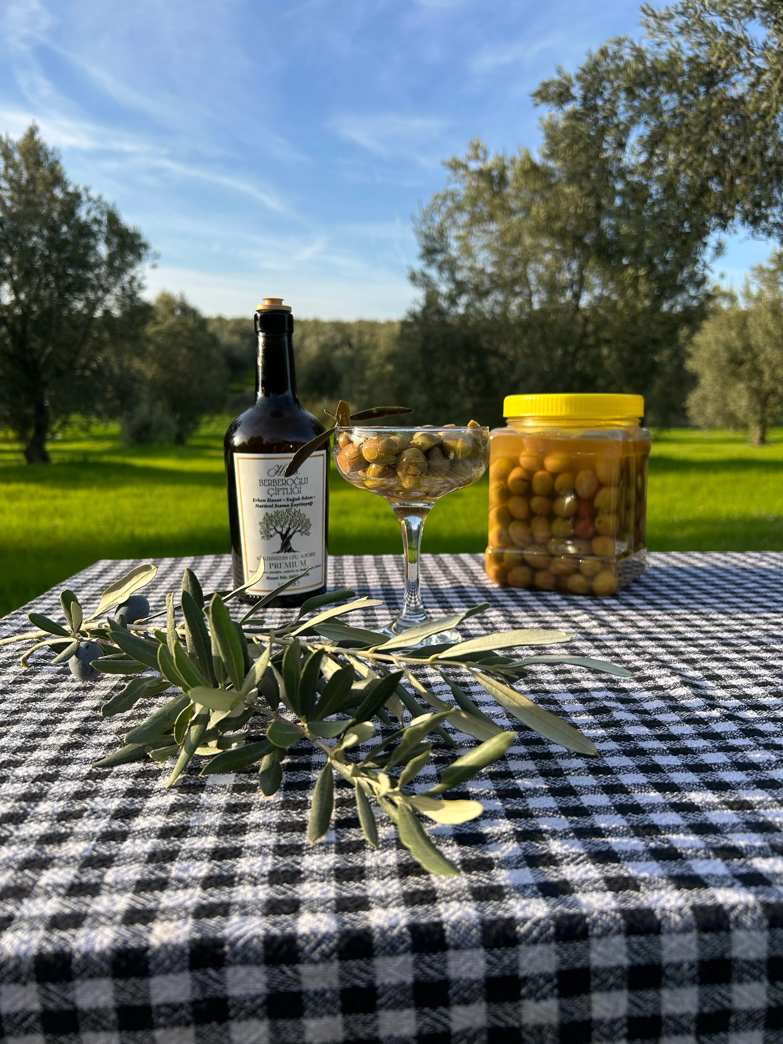 BERBEROĞLU TANIŞMA KİTİ