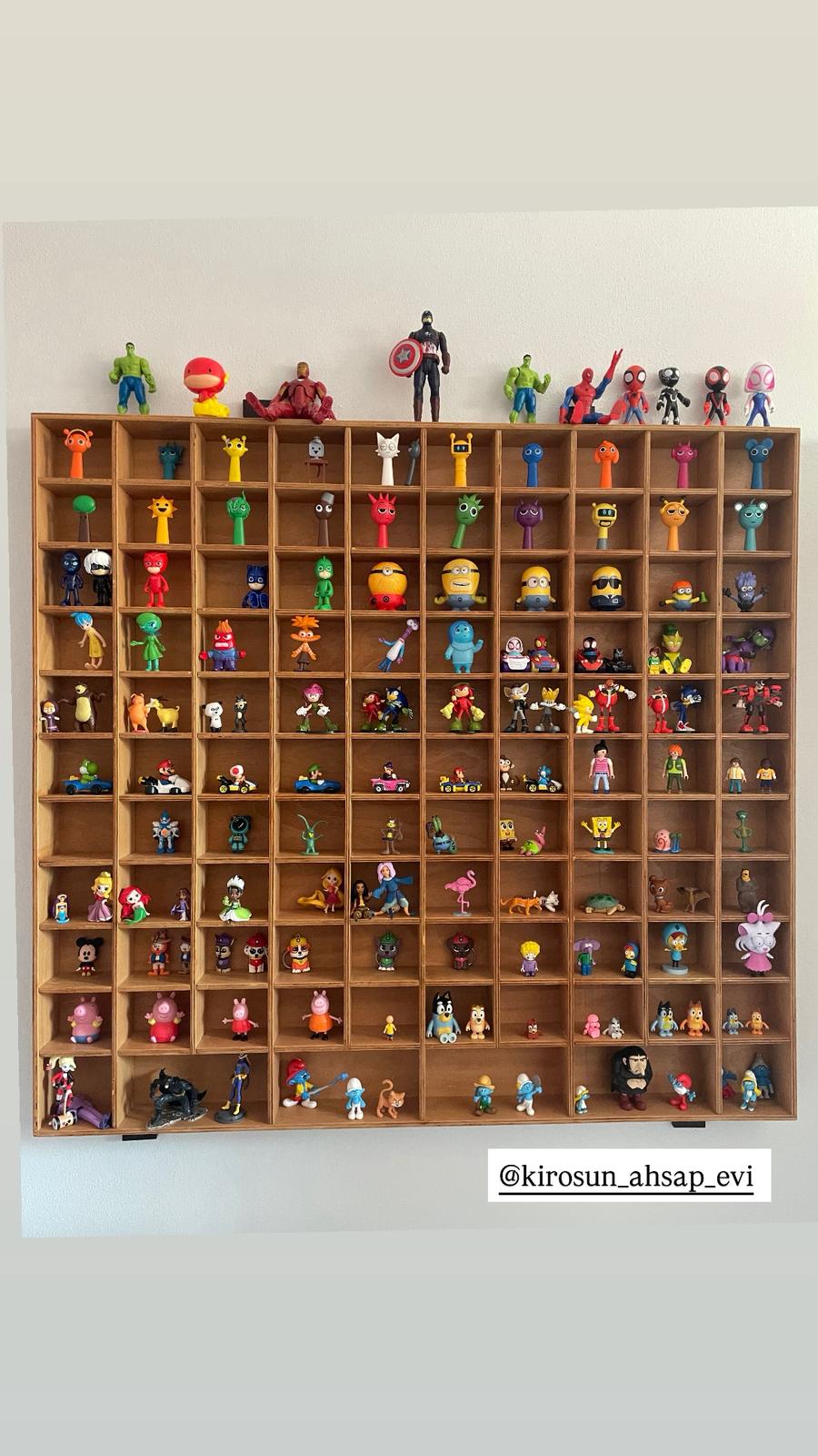 Ahşap Koleksiyon Rafı