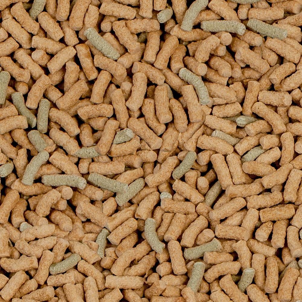 SERA Raffy P Nature Kaplumbağa Yemi 10lt 2 KG Kova
