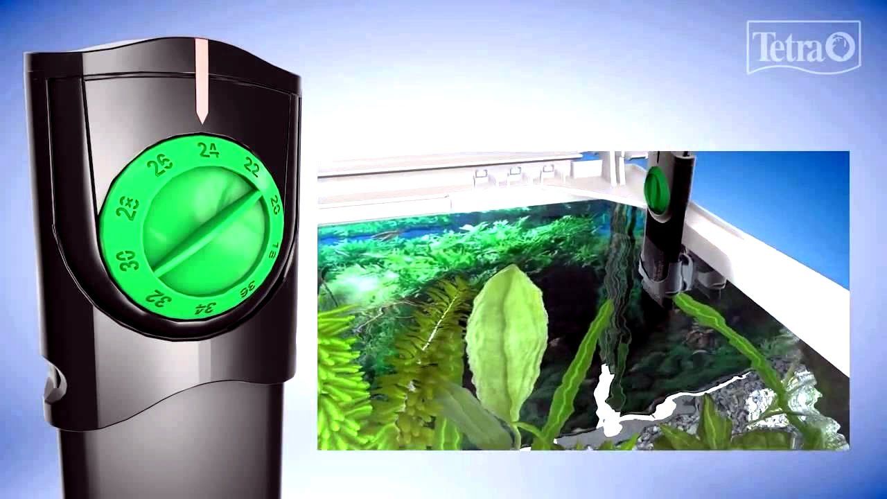 TETRA Proline Isıtıcı 100 Watt