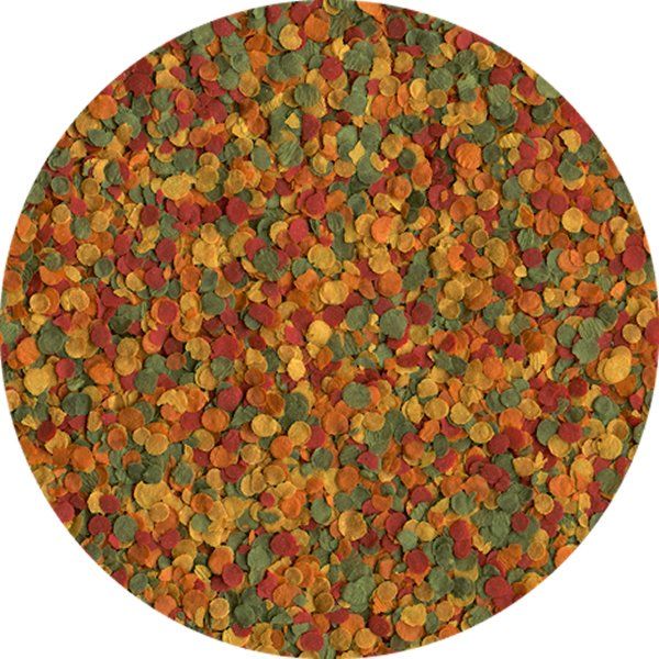 TETRA Tetramin Pro Crisps Balık Yemi 100 GR