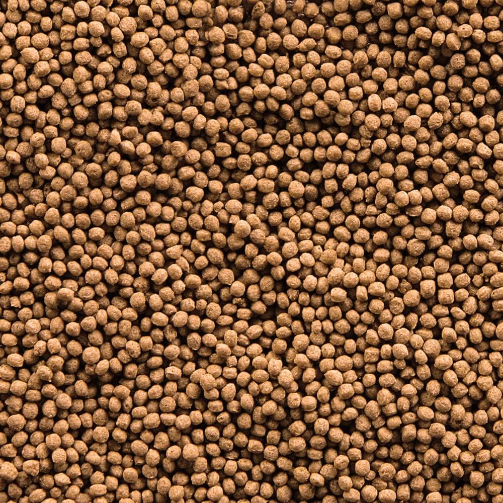 SERA Gold Fish Granules 250ml İri Taneli