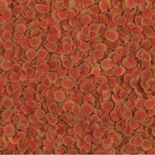 TETRA Pro Colour Renklendirici Balık Yemi 500 GR