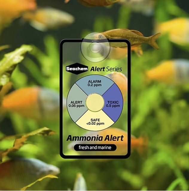 SEACHEM Ammonia Alert Amonyak Göstergesi
