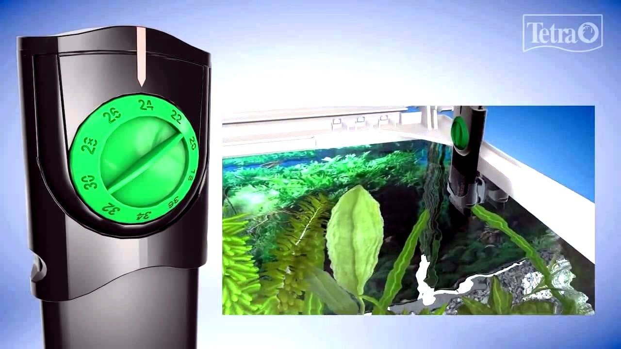 TETRA Proline Isıtıcı 250 Watt