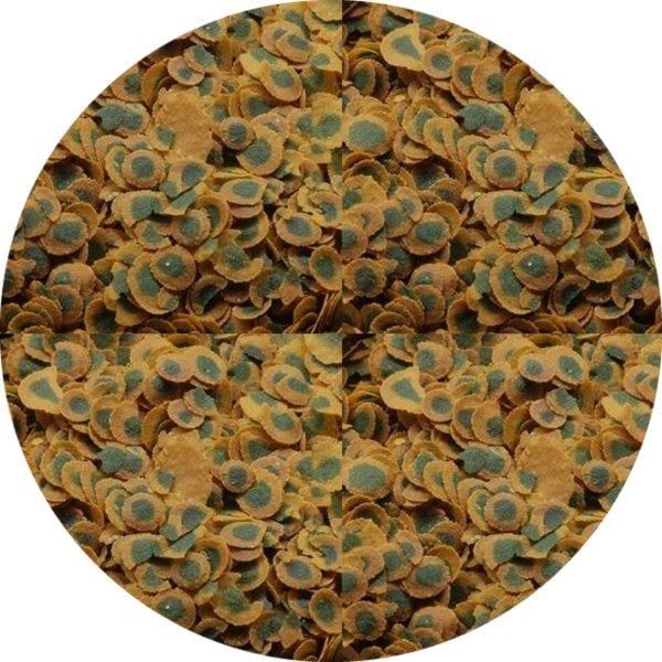 TETRA Pro Algae Chips Bitkisel Balık Yemi 500 GR