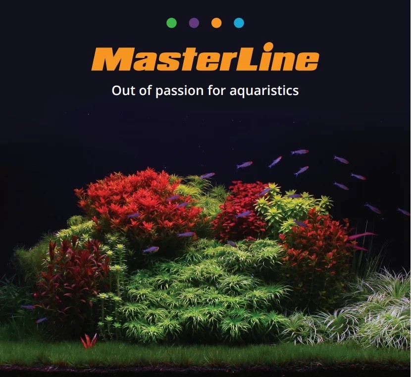 MasterLine Root Caps 60 pcs Kapsül Gübre