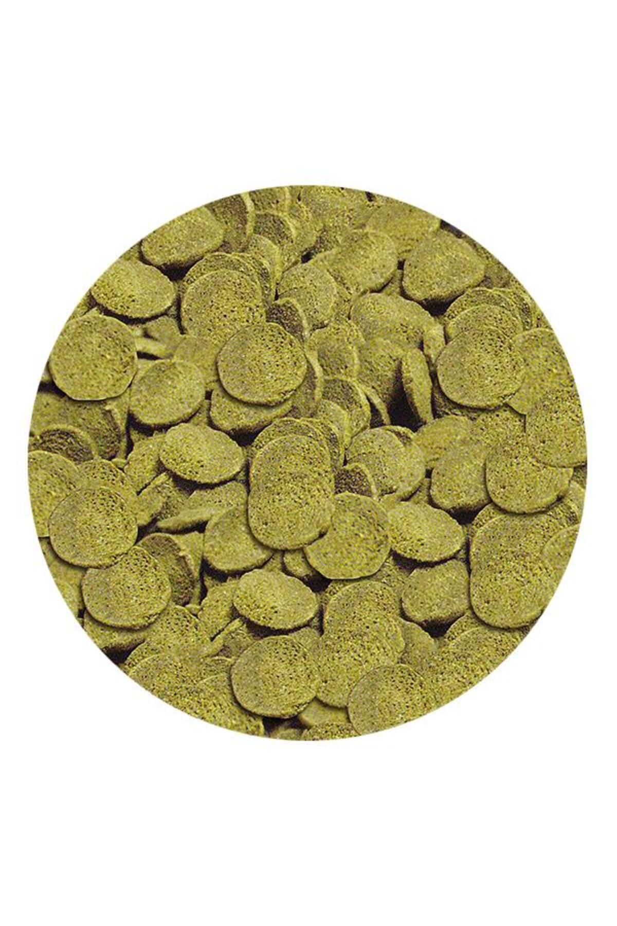 SERA Wels Chips Nature Tablet Yem 500gr