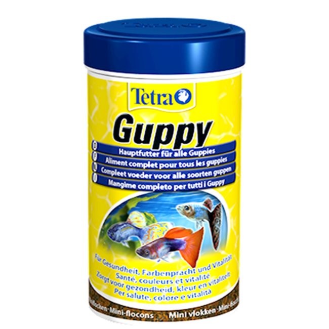 TETRA Guppy Lepistes Yemi 100 ML