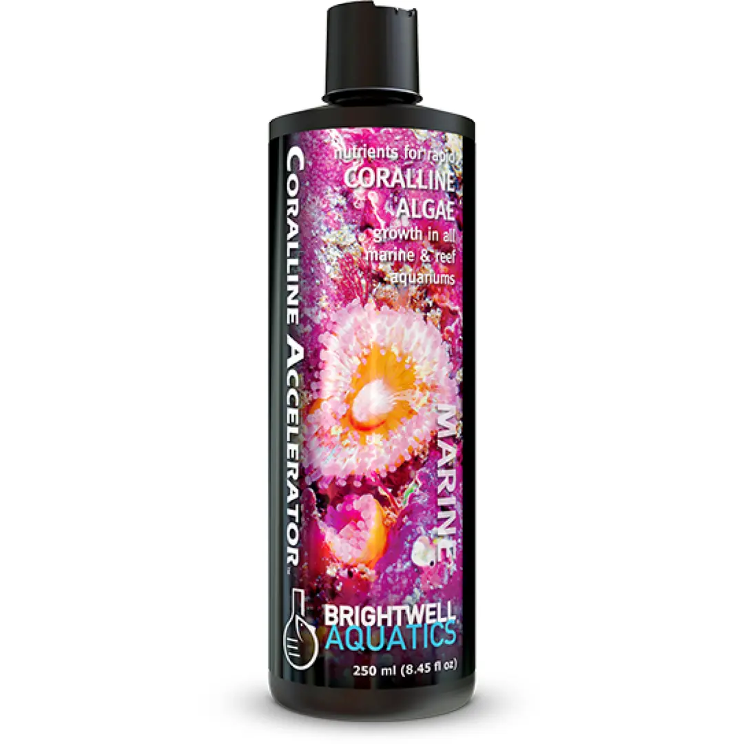 BRIGHTWELL Coralline Accelerator (Koralin Alg Hızlandırıcı) 250 ml