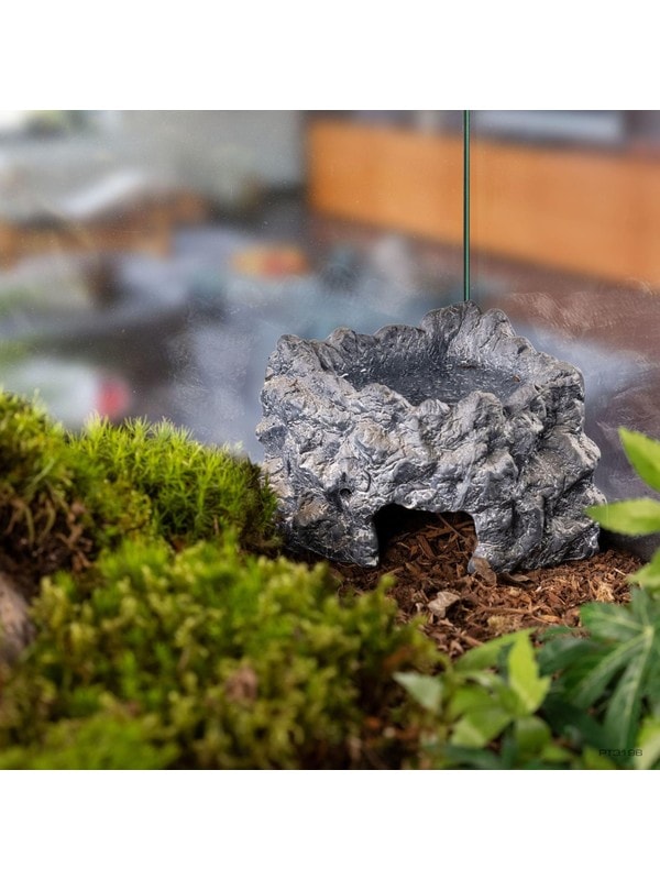 EXO TERRA Eck Wetrock Medium