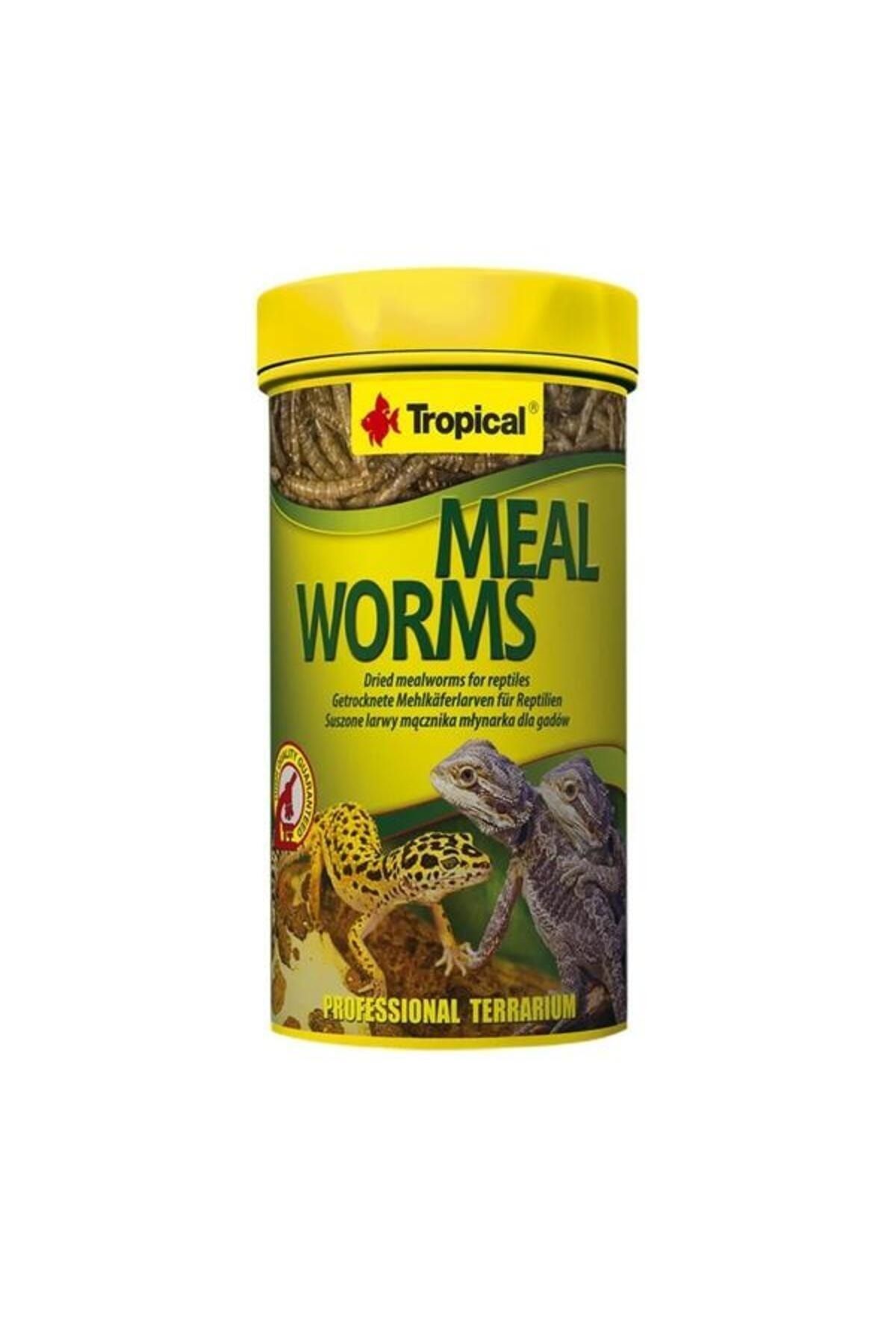 TROPICAL Meal Worms Un Kurdu 100ml 13 Gr