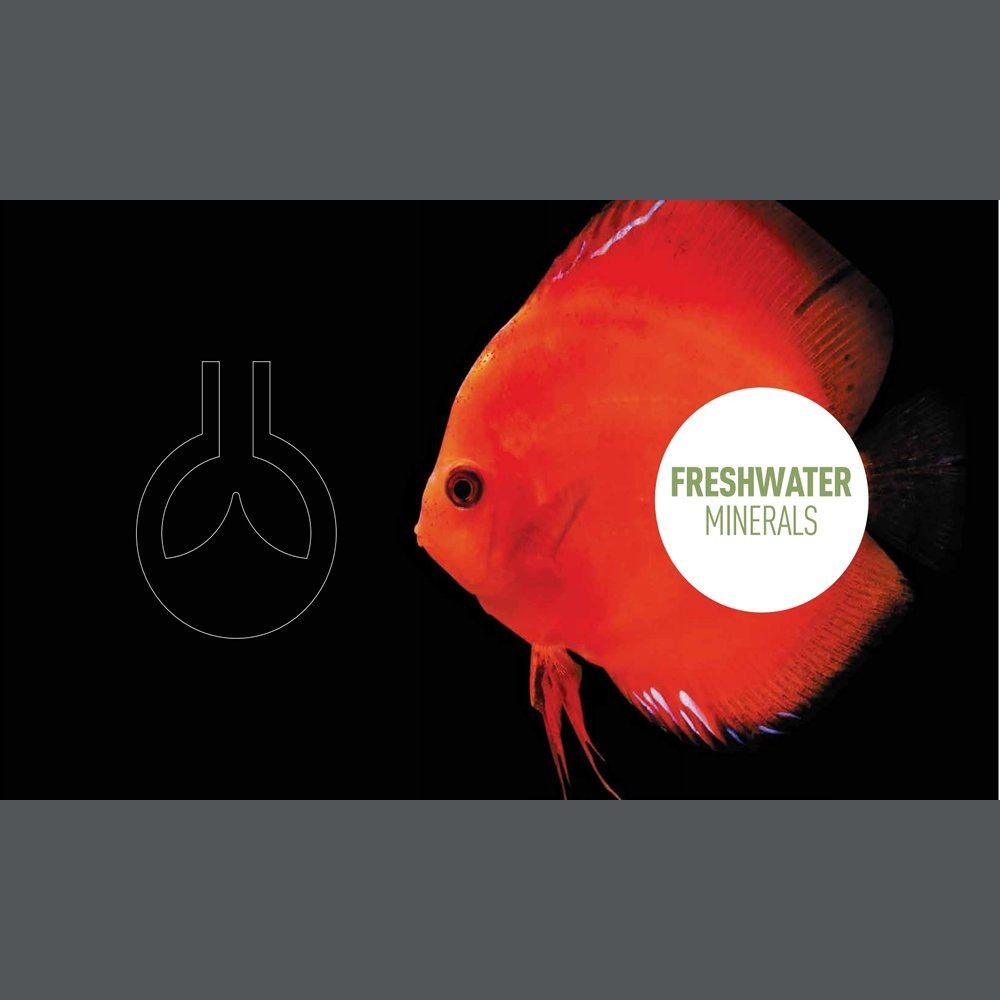 REEFLOWERS Minerals gH+ 250 ML