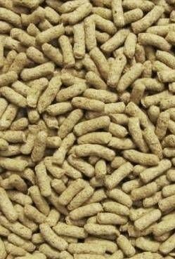 SERA Cichlid Sticks Nature Balık Yemi 500 GR