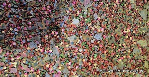 MALAWi Cichlid Mix Yem 500 GR