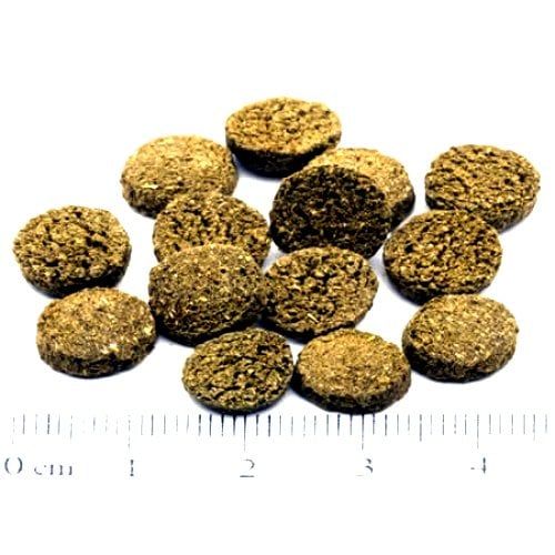 JBL Novo Pleco XL 500 GR