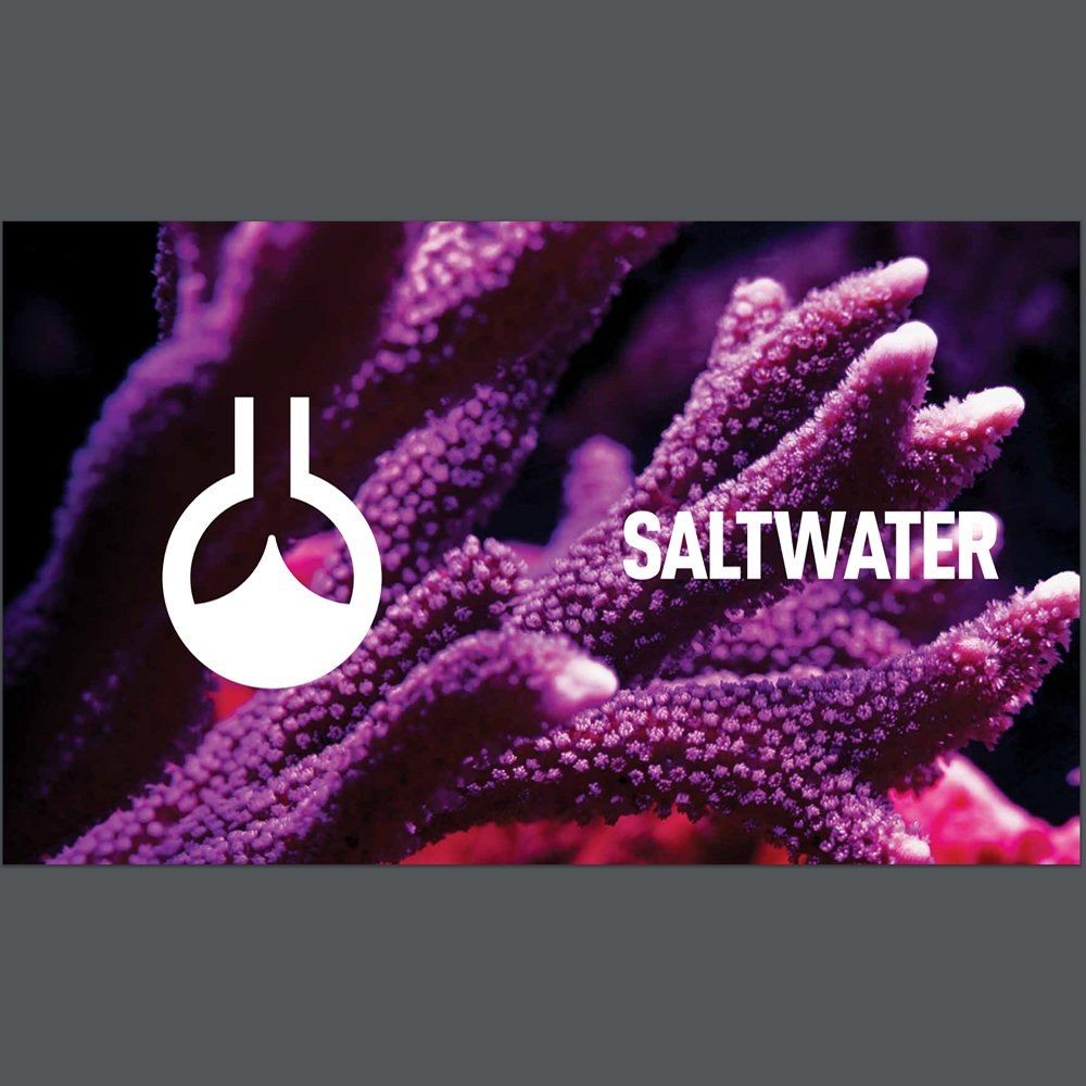 REEFLOWERS Coralline Algae Accelerator 500 ML