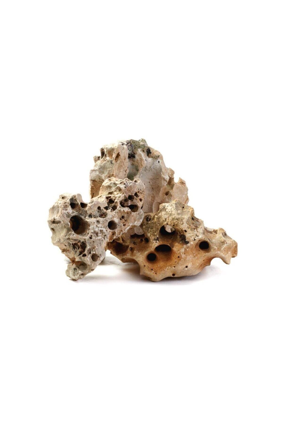 Falez Canyon Stone 5 KG