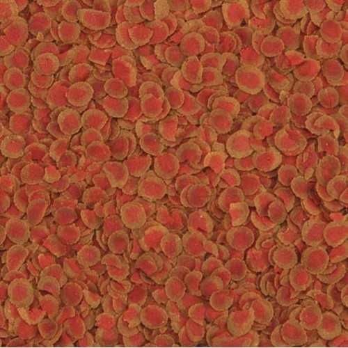 TETRA Pro Colour Renklendirici Balık Yemi 100 GR