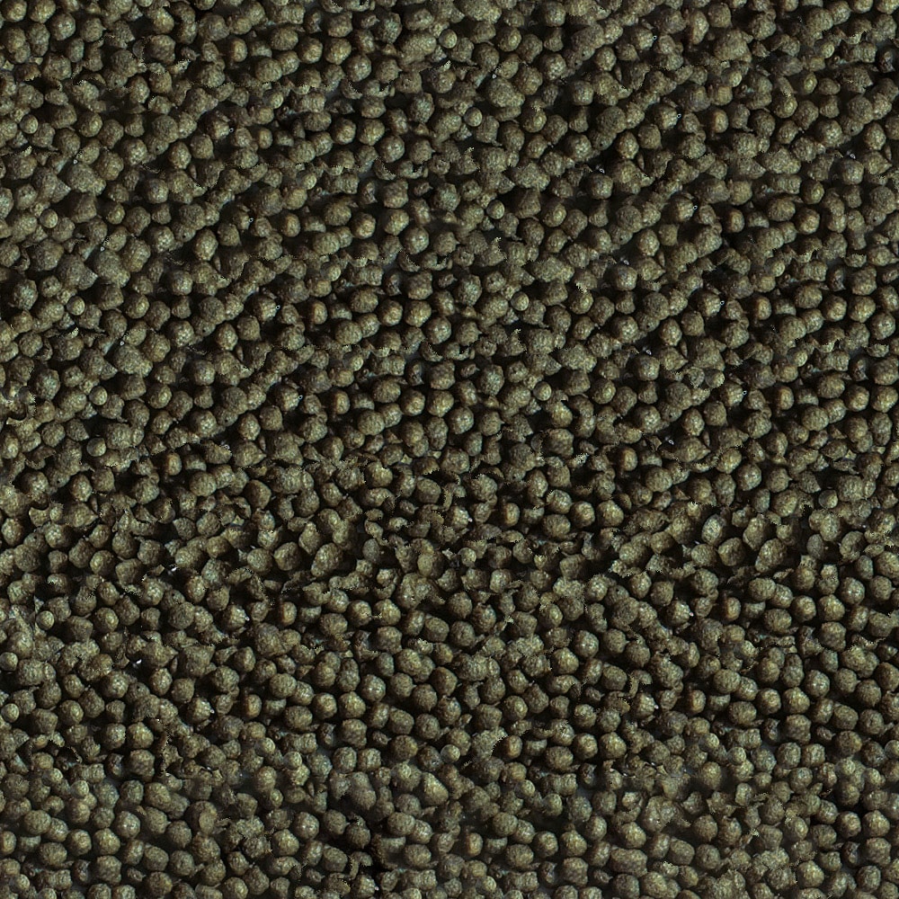 SERA Gold Fish Color Granules 100ml