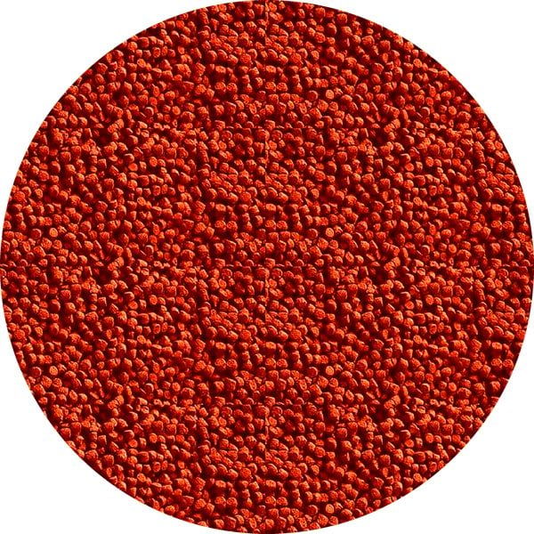 JBL Novo Bits Balık Yemi 100 GR