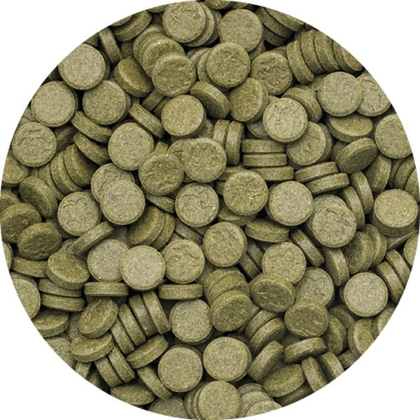 TROPiCAL Spirulina Super Forte Tablet 2 KG / 4500 ADET