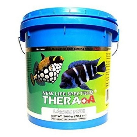 NLS Thera A Large Fish Formula Kova 1800 GR