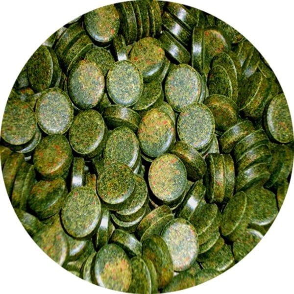 SERA Spirulina Tabs Nature Tablet Yem 100 Adet