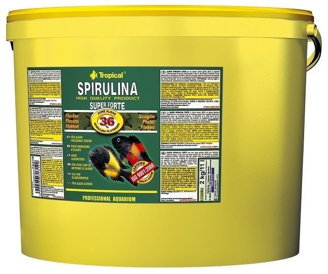 TROPiCAL Spirulina Super Forte Flake 1000 GR