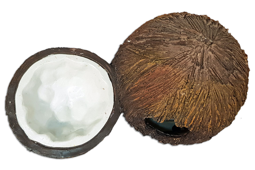 EXO TERRA Ex Coconut Saklanma Alanı ve Su Kabı