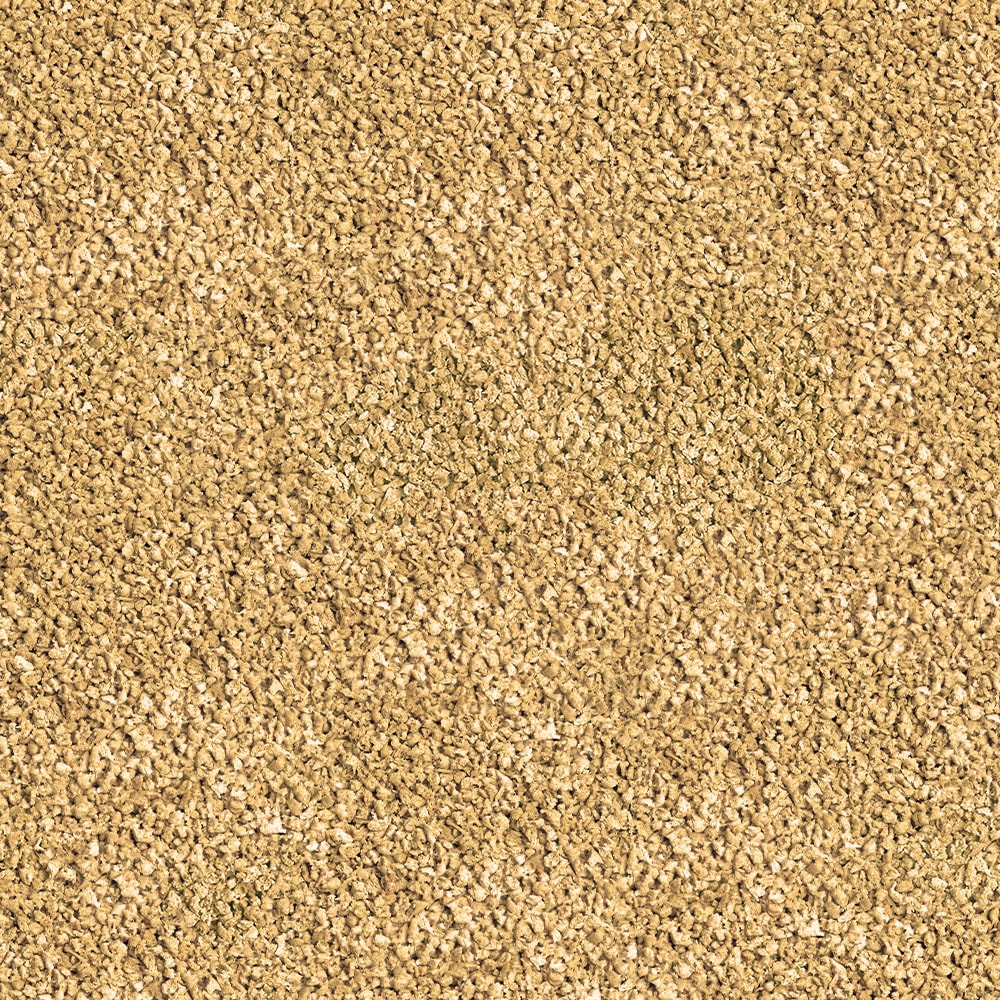 SERA Betta Granules 50ml Balık Yemi