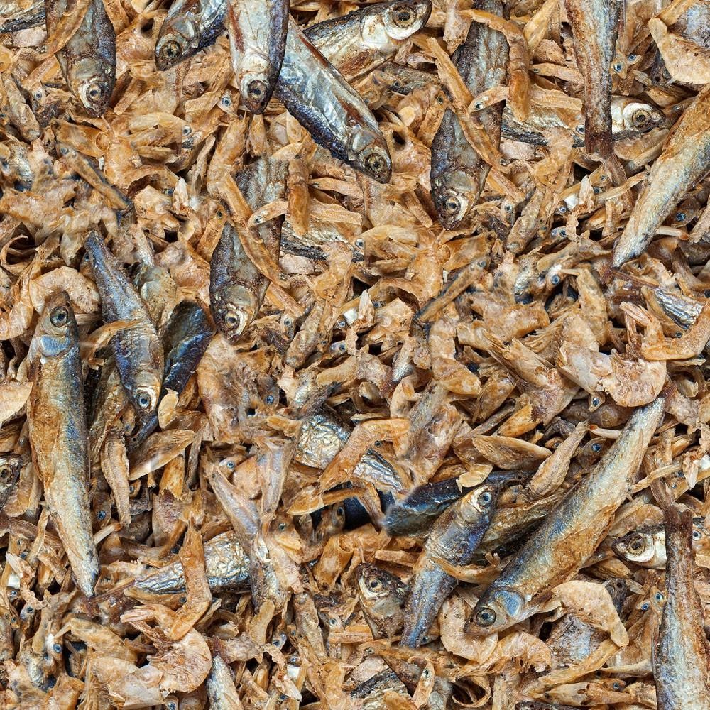 SERA Raffy Royal Kaplumbağa Yemi 3,8lt 750gr