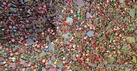 MALAWi Cichlid Mix Yem 100 GR
