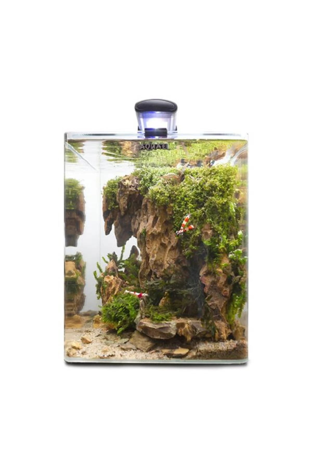 AQUAEL Optibent Set 30 Akvaryum Siyah