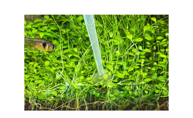 ADA Green Gain Plus 50ml Bitki Budama Sonrası Hızlı İyileştirme