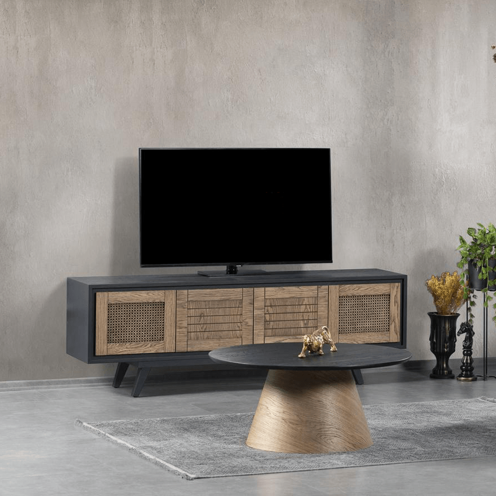 ASEL TV ÜNİTESİ